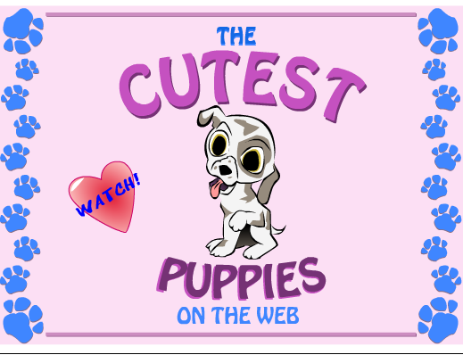 File:The Cutest Puppies on the Web.png