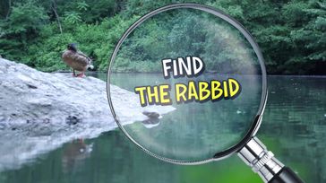 File:Video-find-the-rabbids-16x9.jpg
