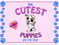 The Cutest Puppies on the Web.