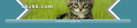 A capture of the site before the domain went on sale, featuring a kitten on the website banner.