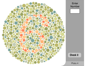 Color Vision Deficiency Test Plate 4.png