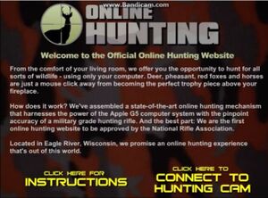 Online Hunting.jpg