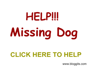 Help Find the Missing Dog menu.png